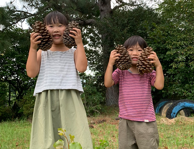 巨大な松ぼっくりゲットだぜ！