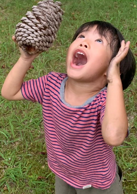 巨大な松ぼっくりゲットだぜ！