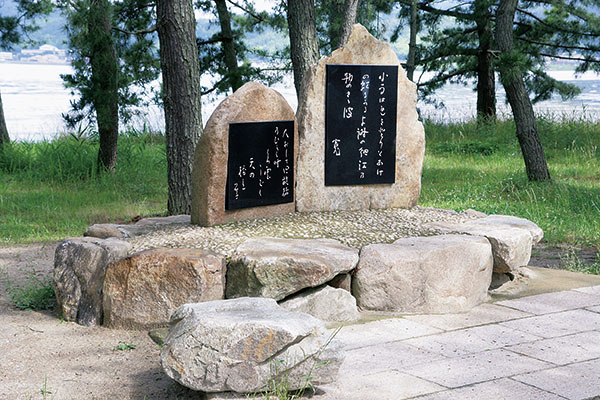 レンタサイクルで天橋立を巡る｜橋立大丸 | 日本三景 天橋立にある お土産処・お食事処