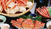 ŷ��Ω�ɥ饤�֥��󡡶�Ω��������Ҳ�