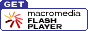 Flash�ץ饰��������������